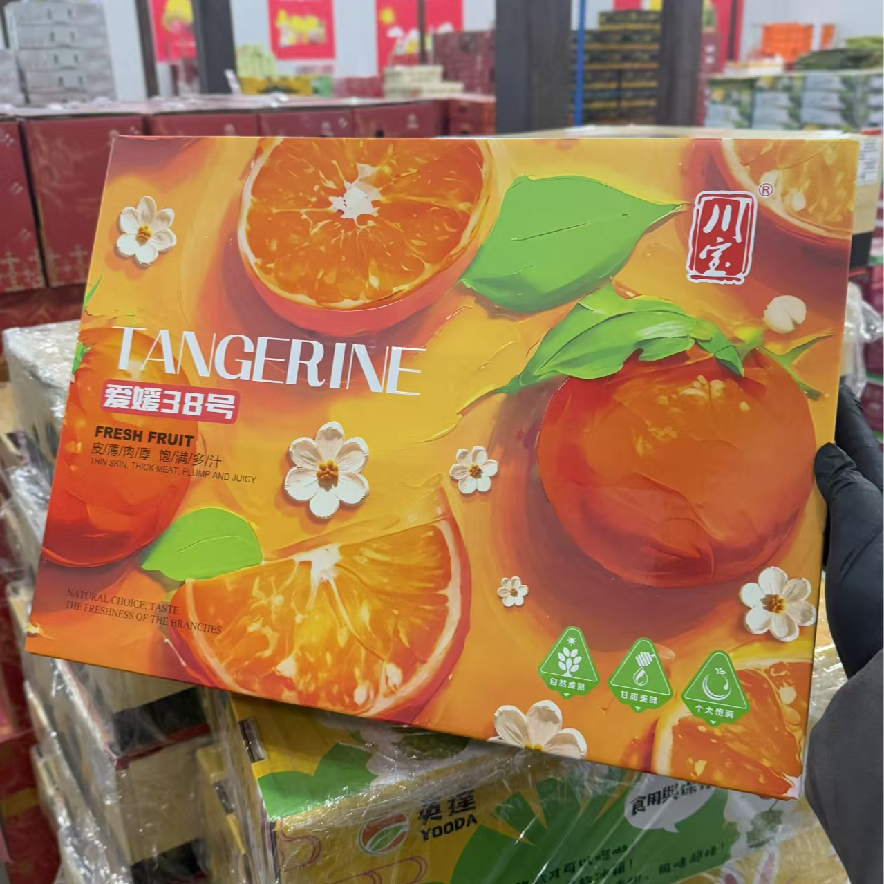 爱媛38礼盒 特级大果 水分足 汁水多