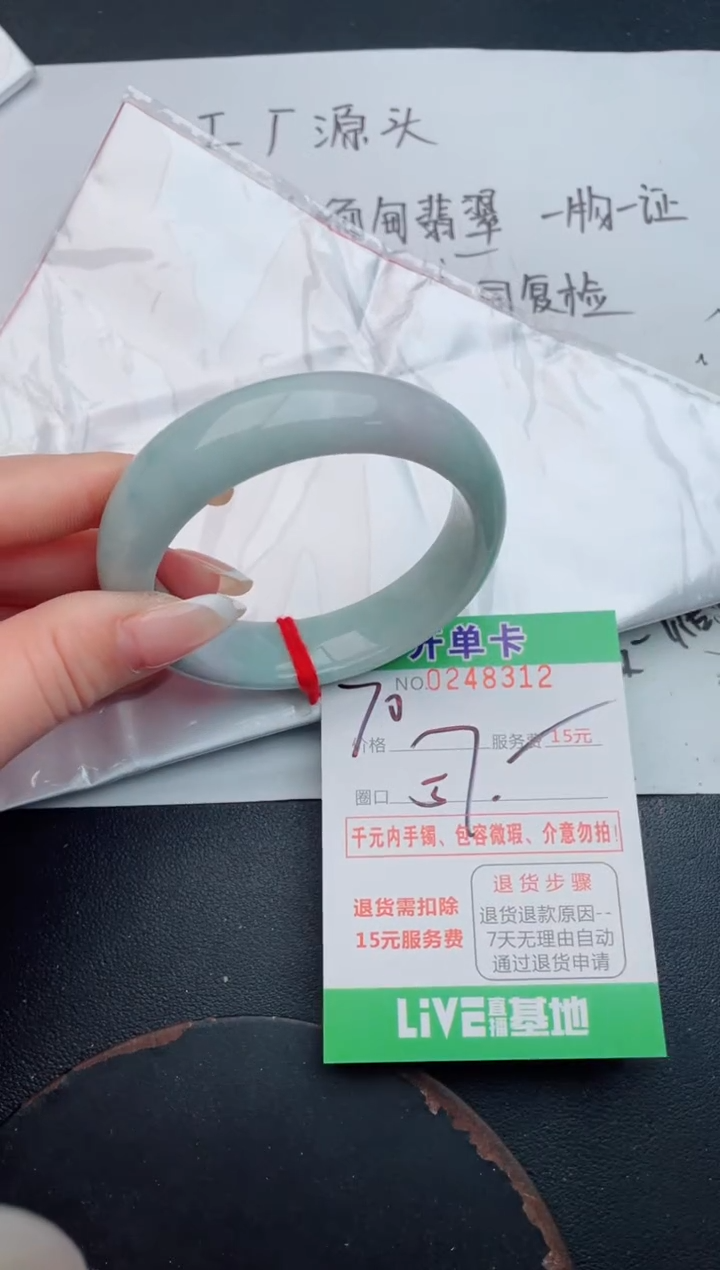 未镶嵌手镯翡翠12