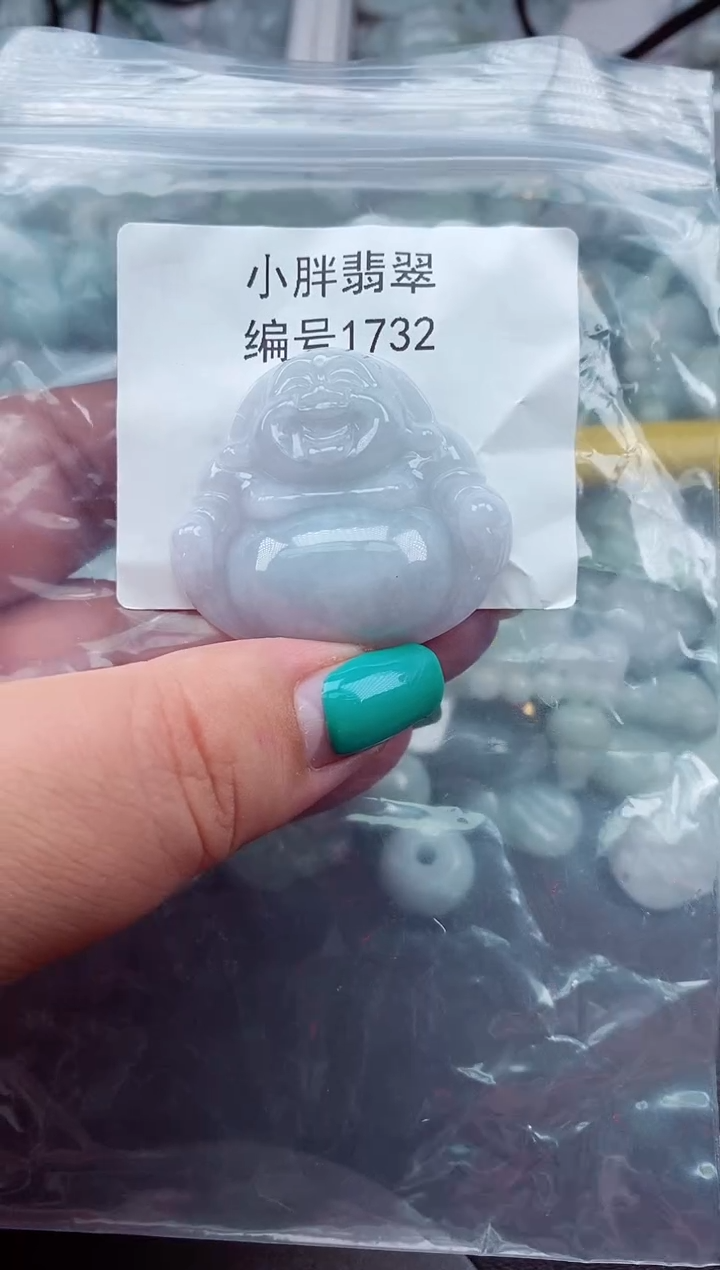 颈饰未镶嵌翡翠缅甸天然A货翡翠1732