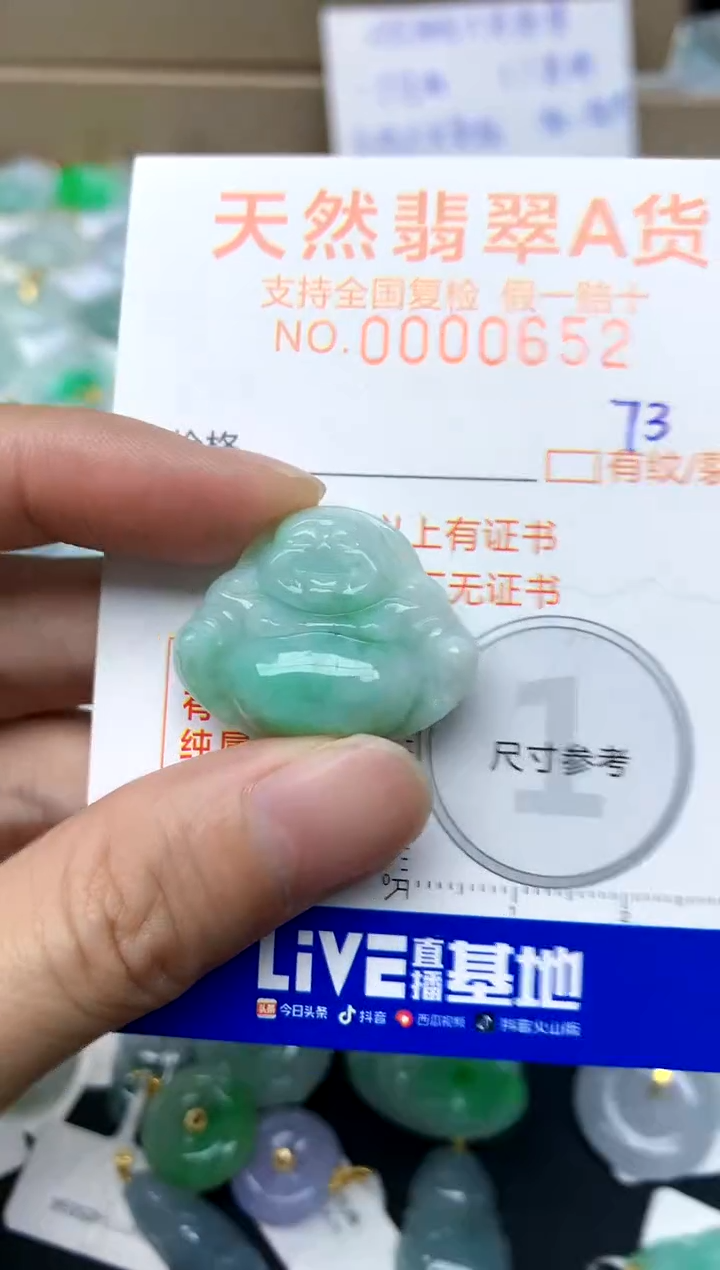 【闪购商品】翡翠颈饰未镶嵌73天然A货翡翠