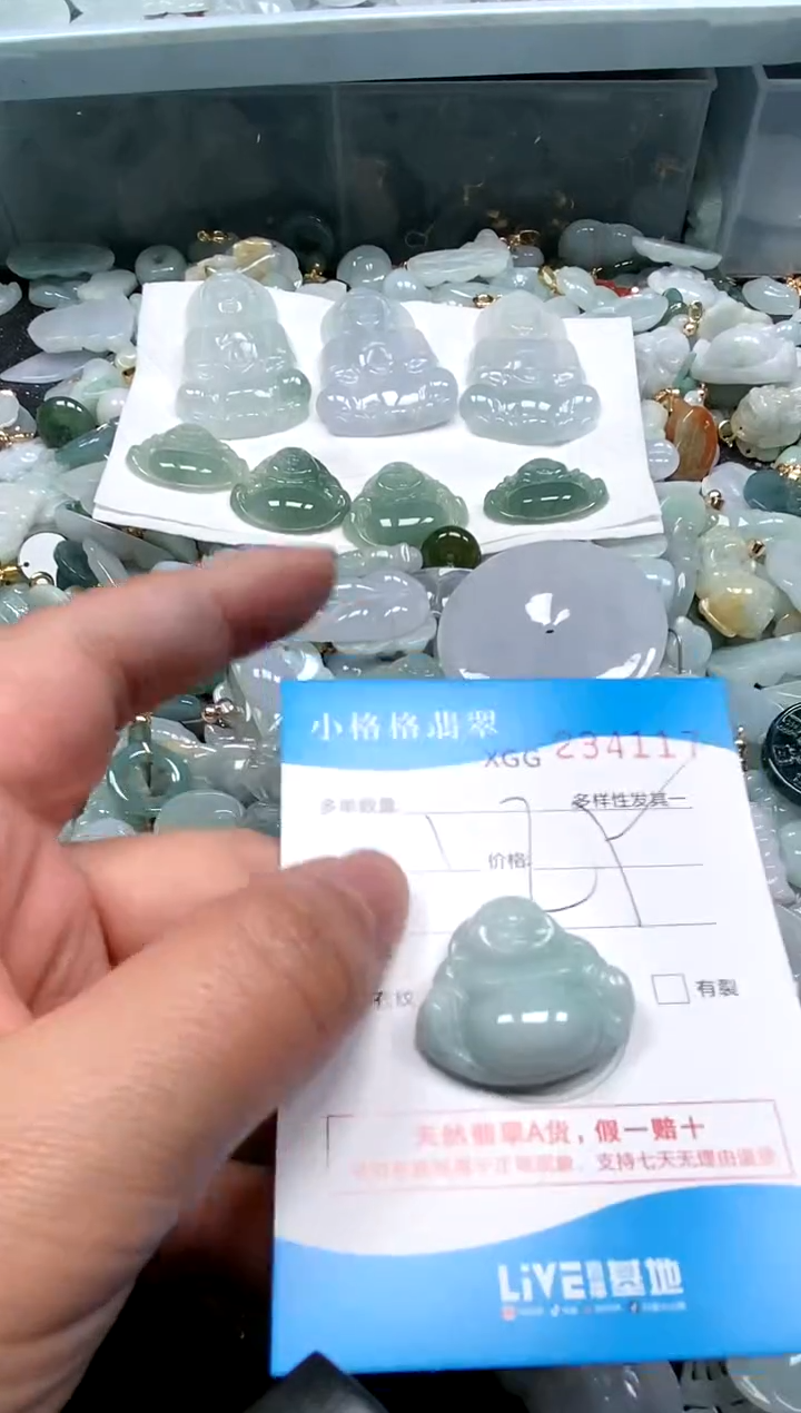 【闪购商品】翡翠颈饰未镶嵌闪购商品0234117