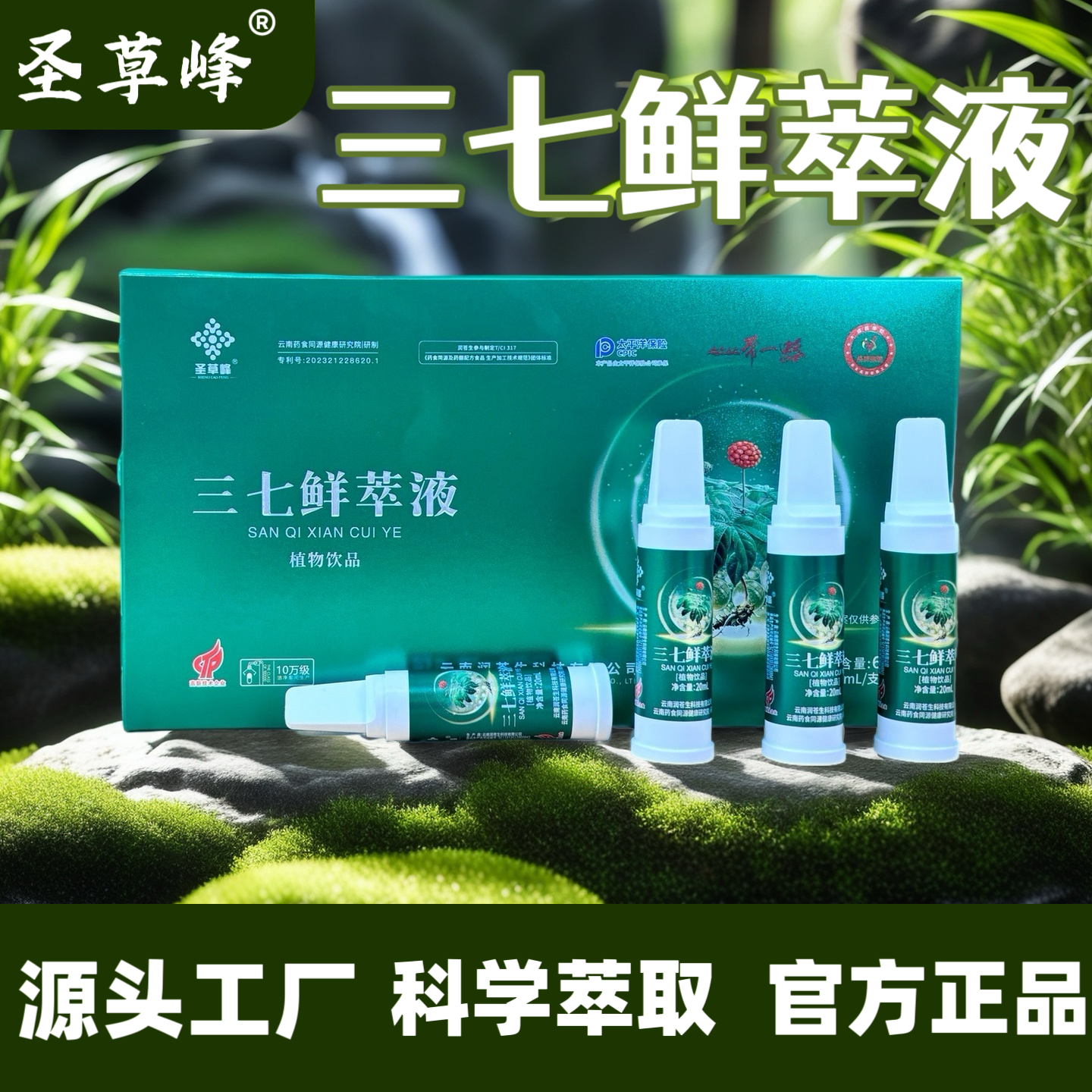 三七鲜萃液云南文山三七科学萃取口服液官方正品 圣草峰