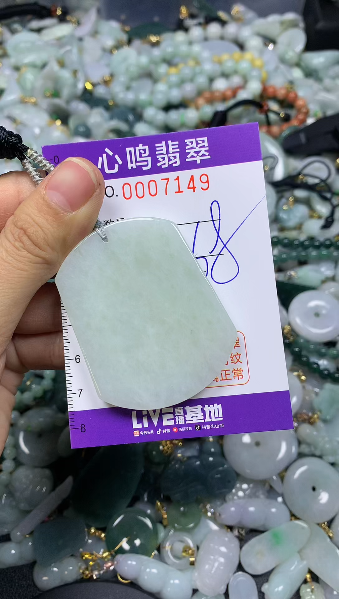 【闪购商品】翡翠颈饰未镶嵌闪购007149