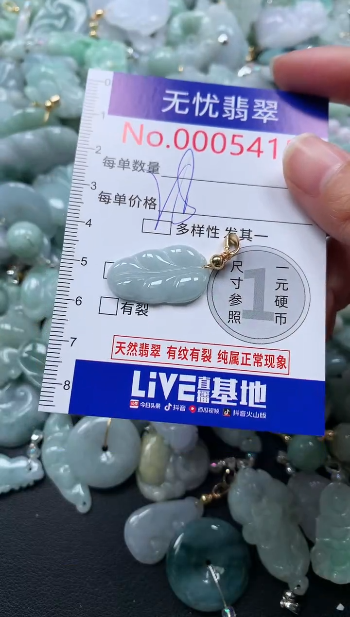 颈饰未镶嵌翡翠5415