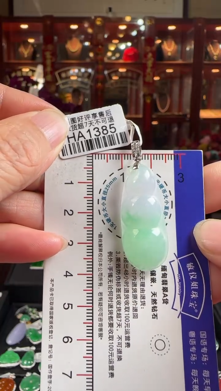 【闪购商品】翡翠颈饰18K金镶嵌HA1385绿豆豆