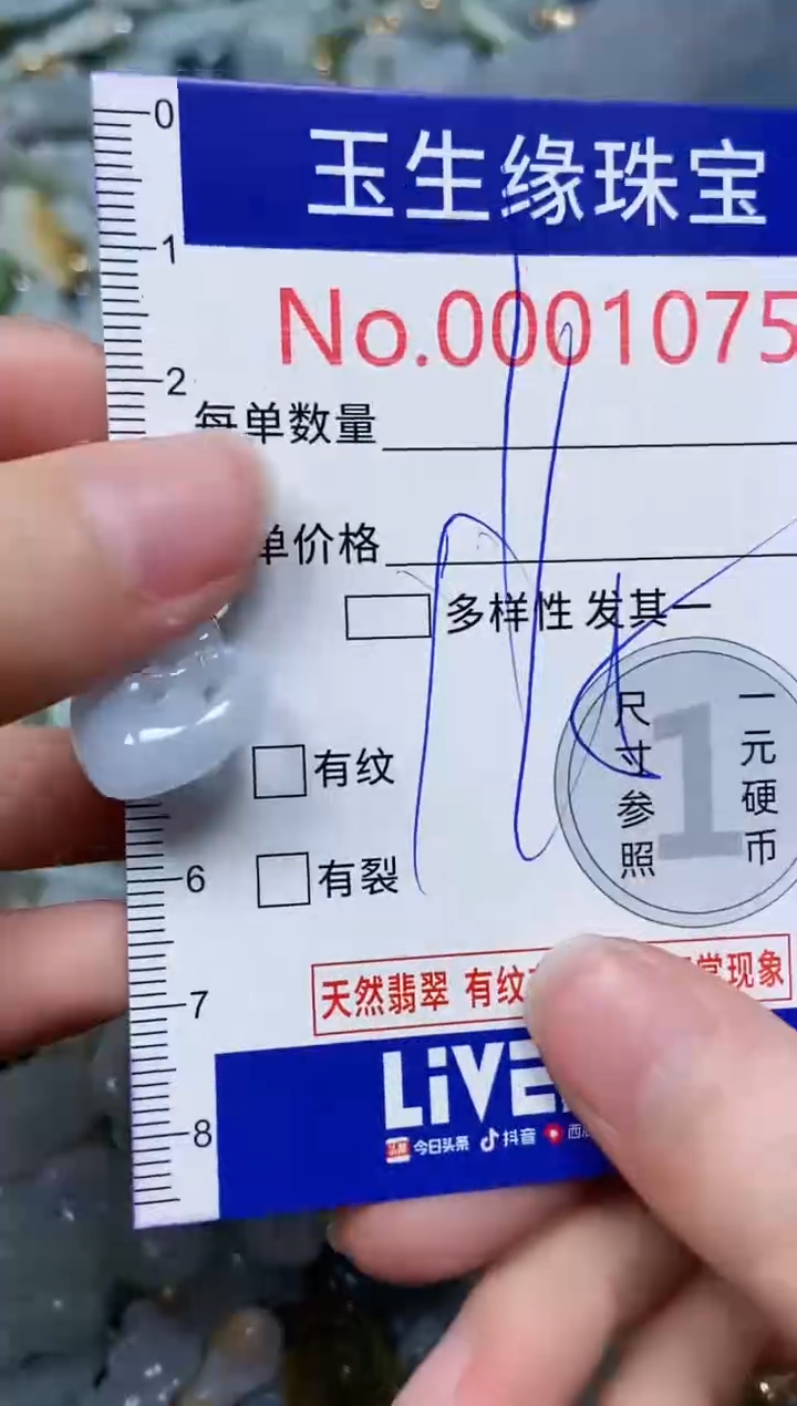 【闪购商品】翡翠颈饰未镶嵌闪购00001075