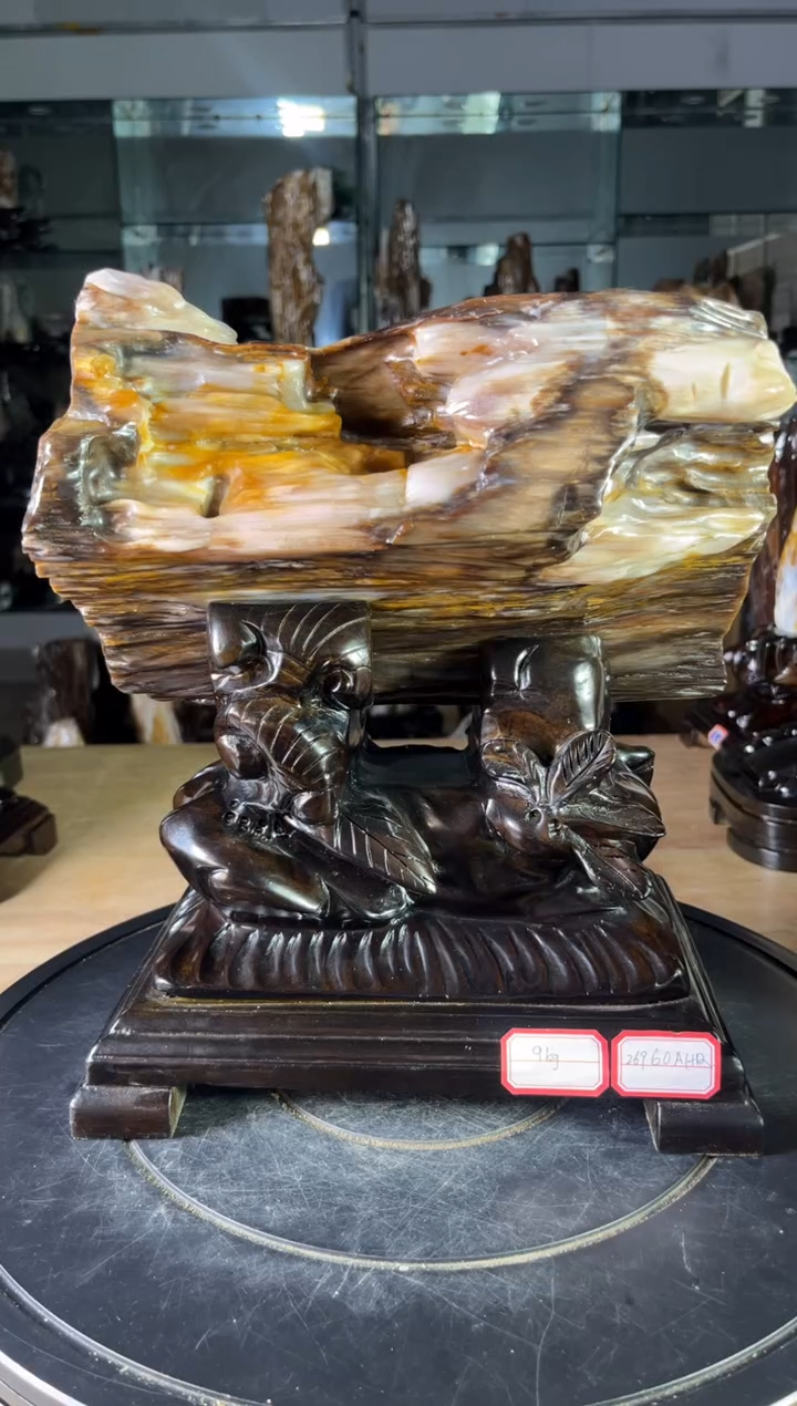 【闪购商品】硅化玉珠宝奇石未镶嵌1