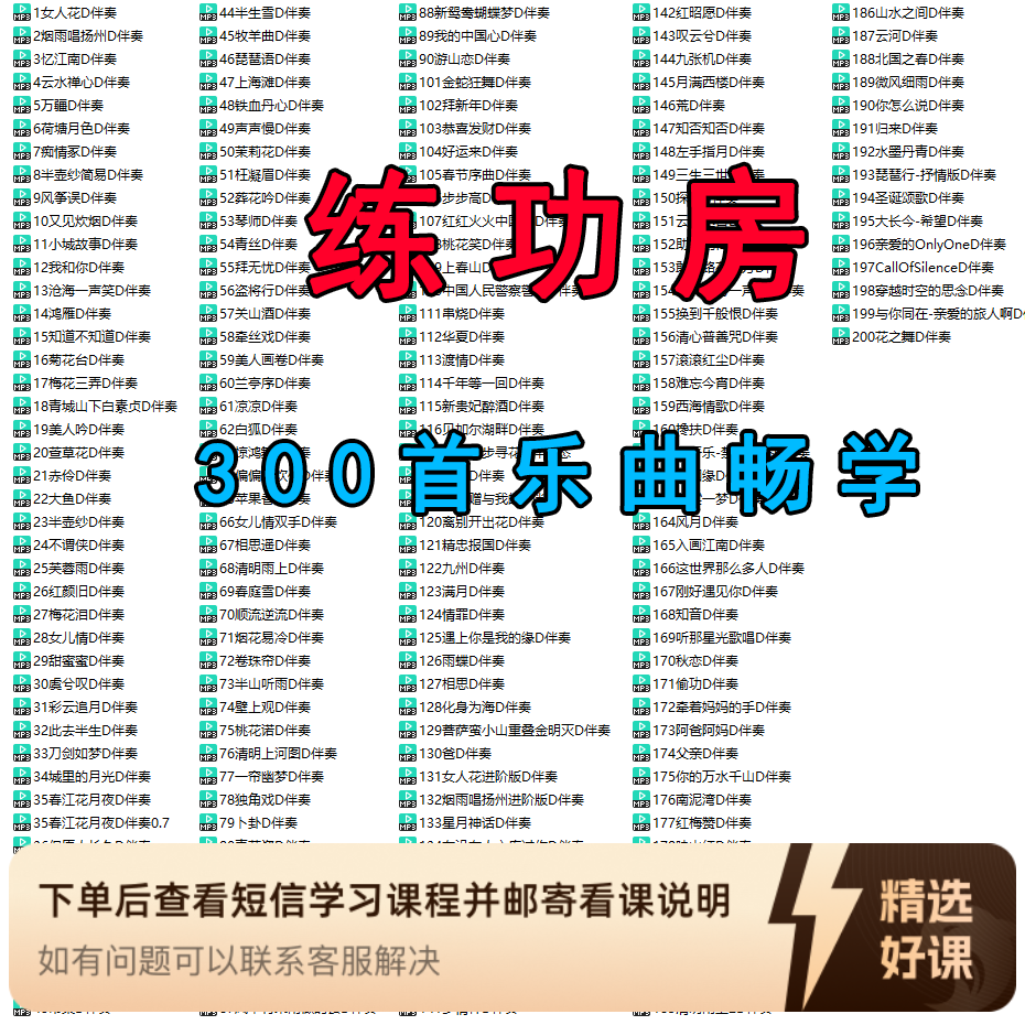 练功房-300首乐曲畅学（留意短信解锁课程）