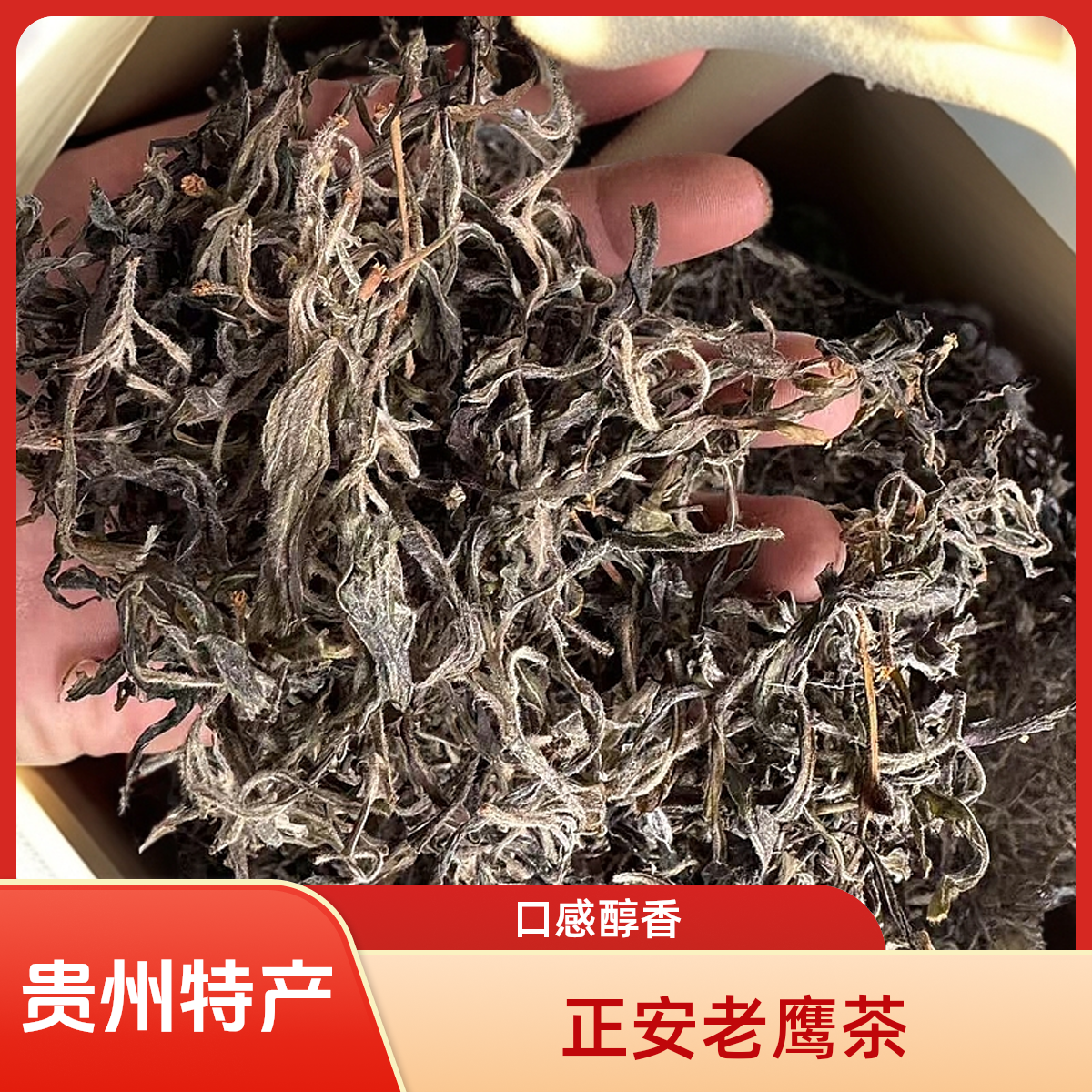 贵州特产正安特产 老鹰茶 苦丁茶