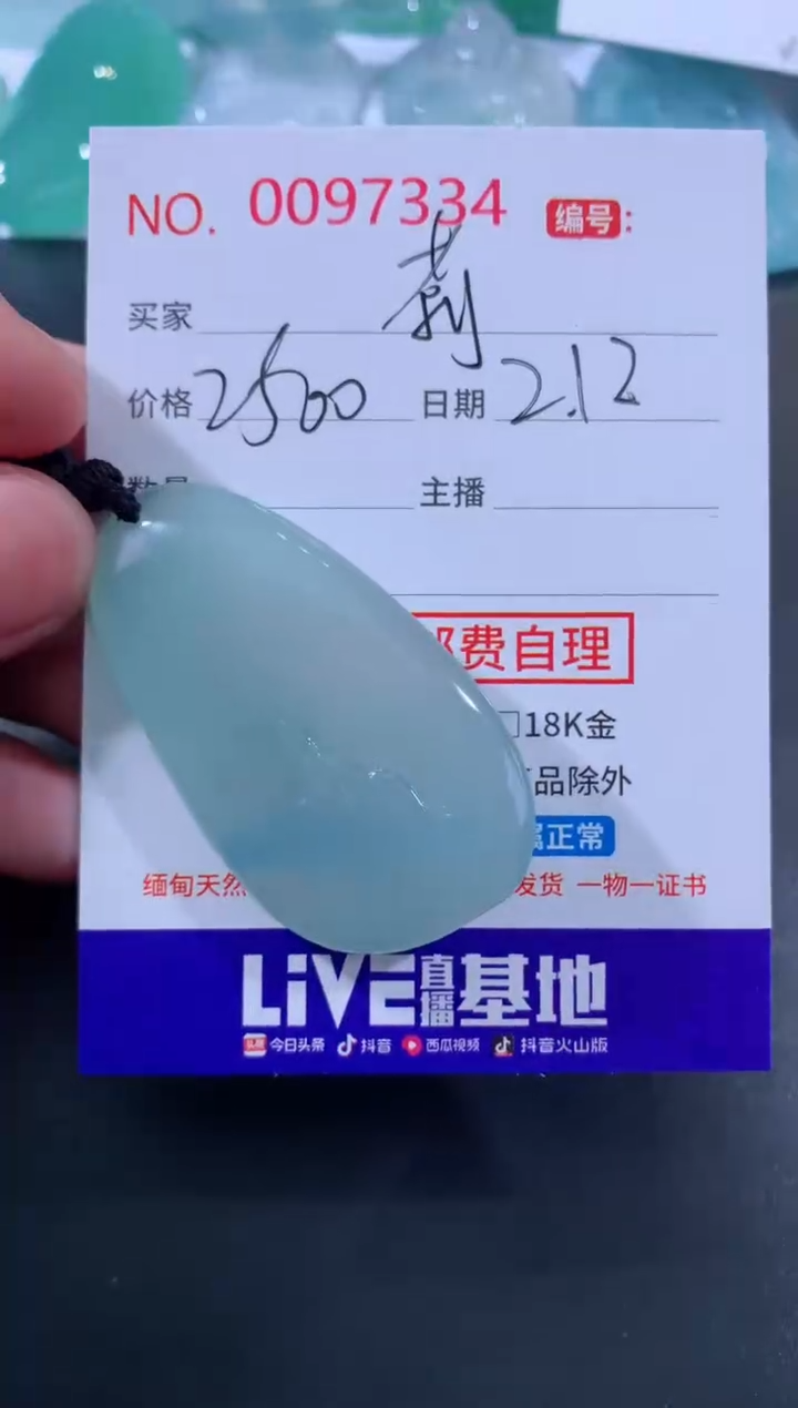 【闪购商品】翡翠颈饰未镶嵌莉