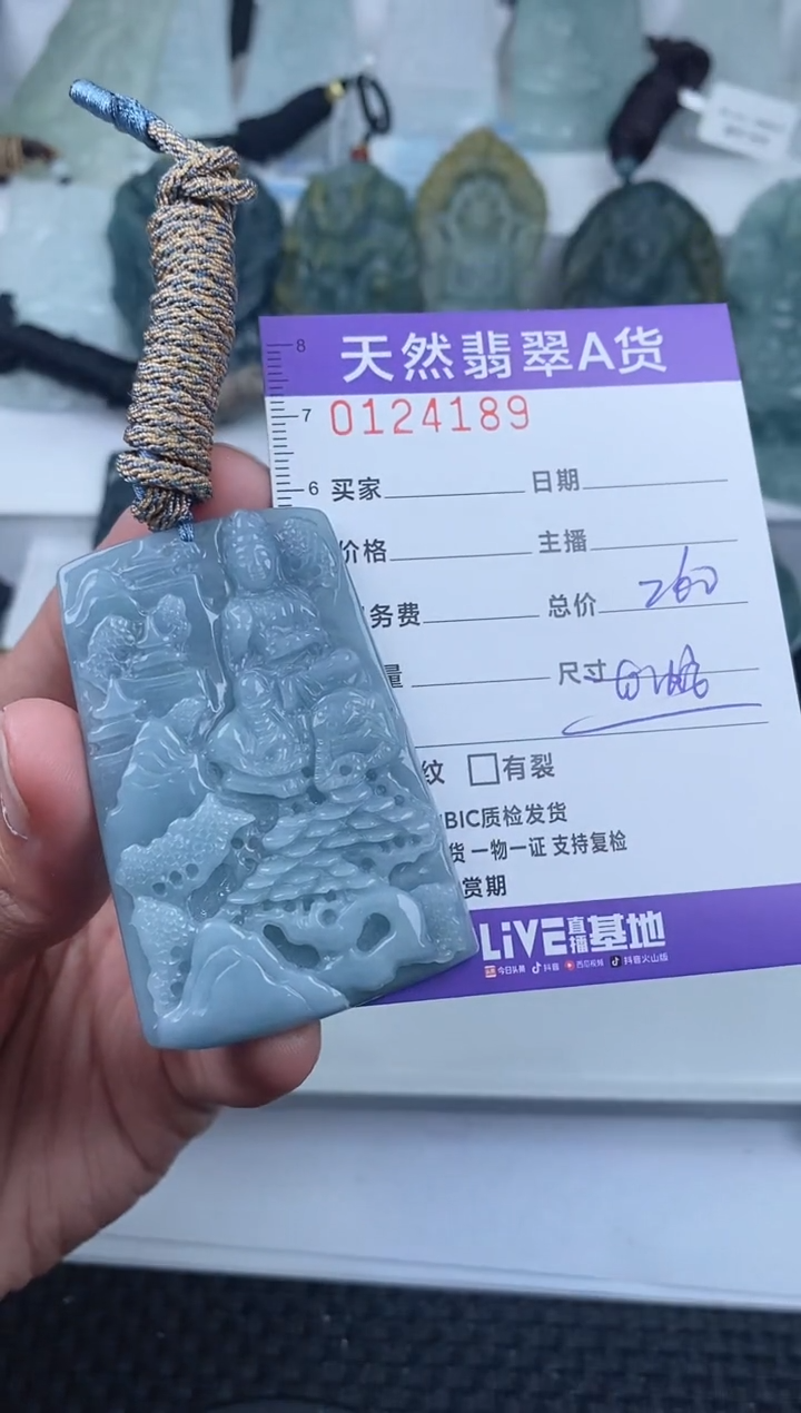 【闪购商品】翡翠颈饰未镶嵌        189