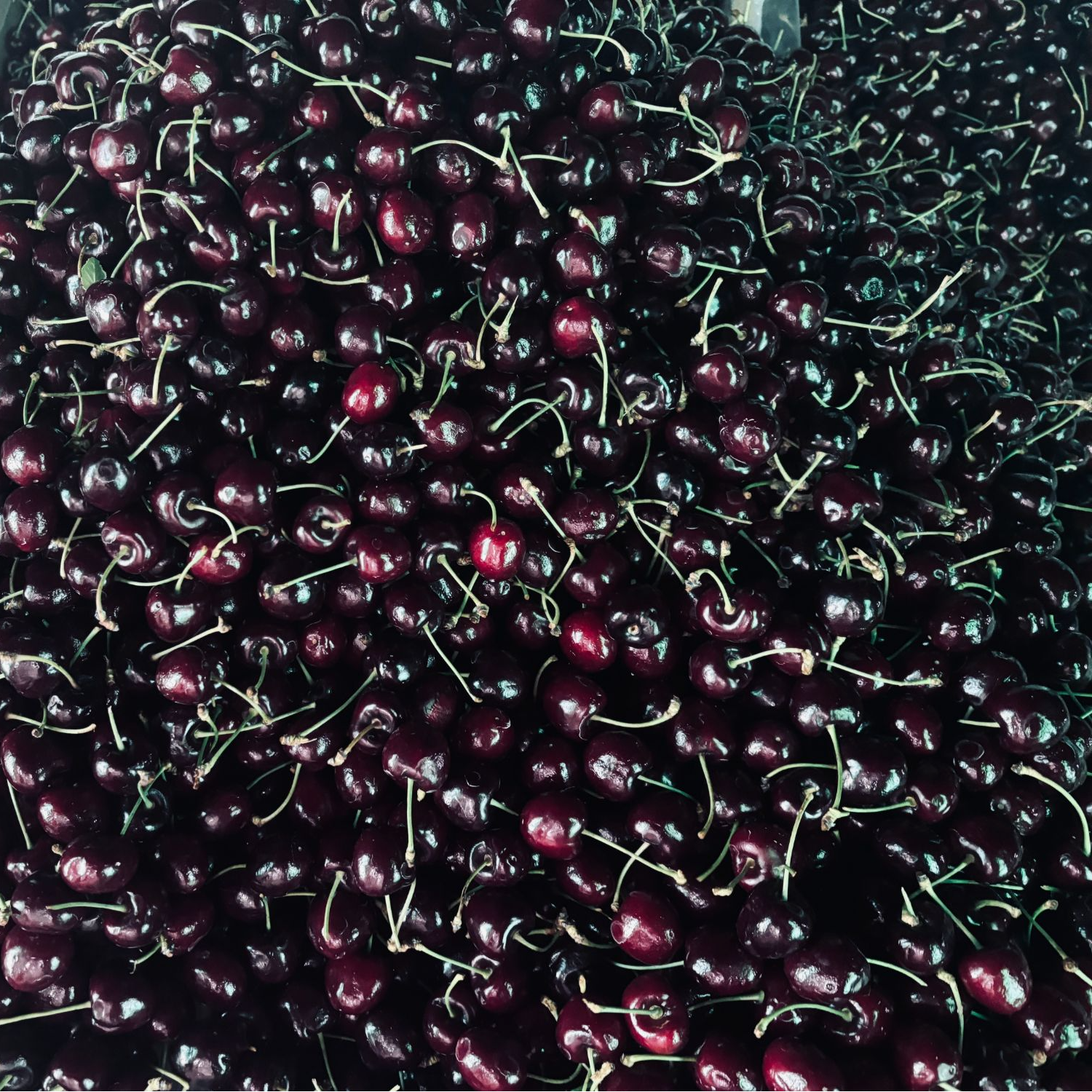 【3斤】智利车厘子海运XLD散装3斤-10斤整箱车厘子智利