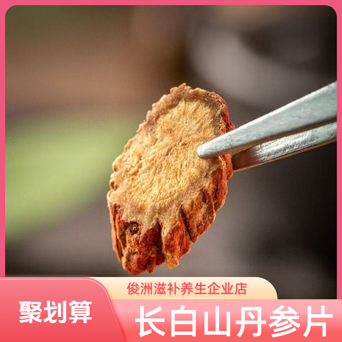 长白山 丹参 紫皮 手工切片 