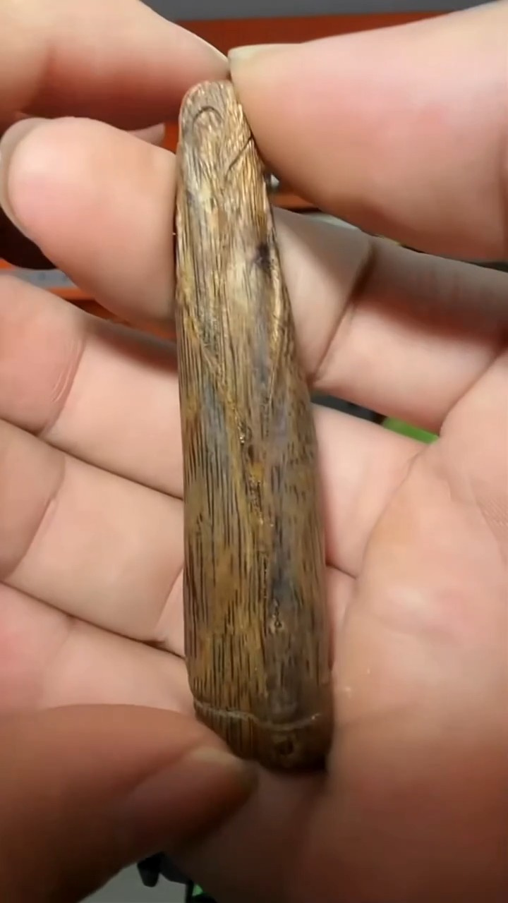 沉香吊坠196号多样性发一