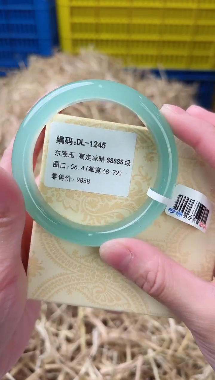 未镶嵌手镯石英质玉DL-1245