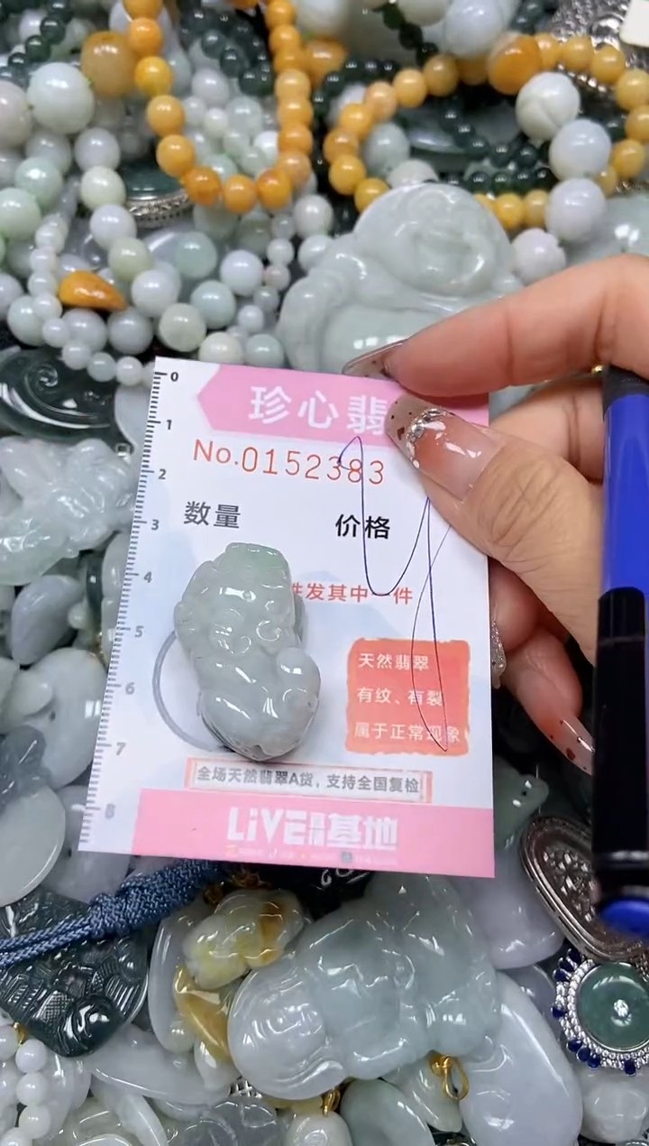 【闪购商品】翡翠颈饰未镶嵌闪购链接0152383