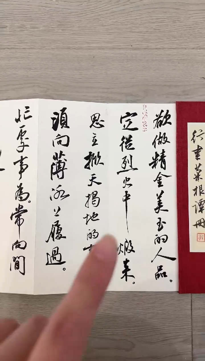 【闪购商品】书法龙天乐老师 册页