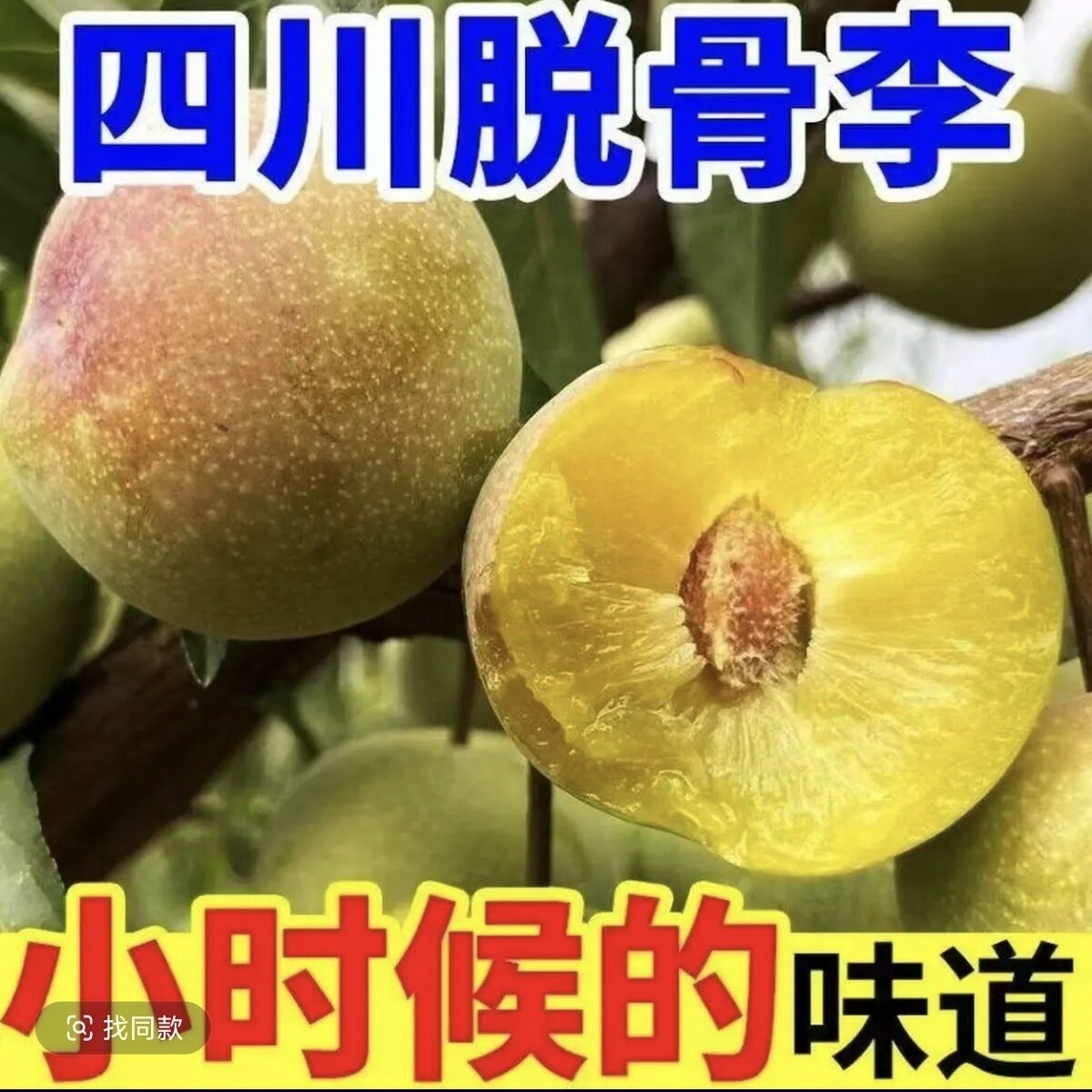 5斤四川高山脱骨半边红茵红李新鲜应季脆甜多汁爽口水果