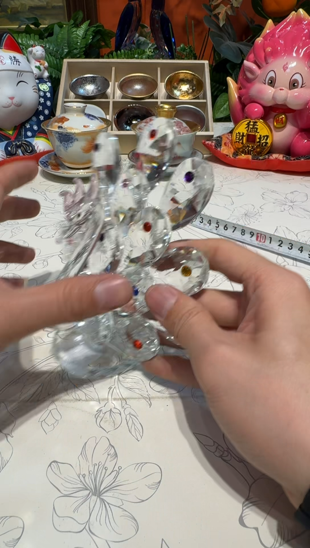 弟杯杯杯杯杯杯杯杯杯杯杯杯