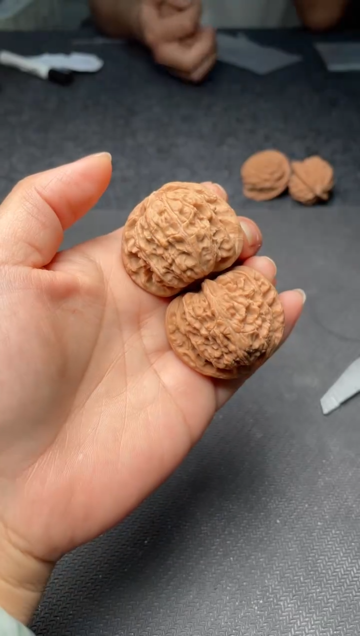 把件文玩核桃w175  白狮子 40尺