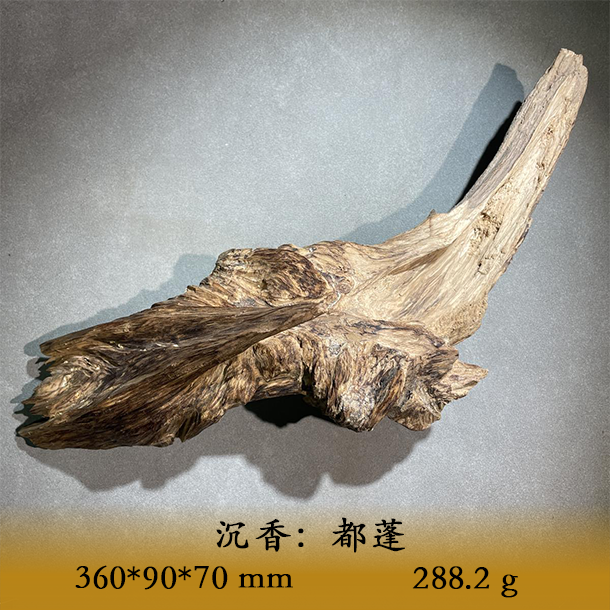 LSQUS天然野都蓬料C551