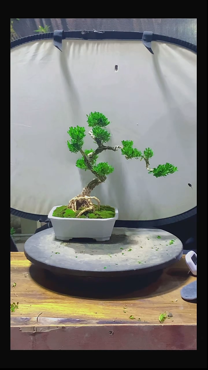 完全开放兴**楼11111111111