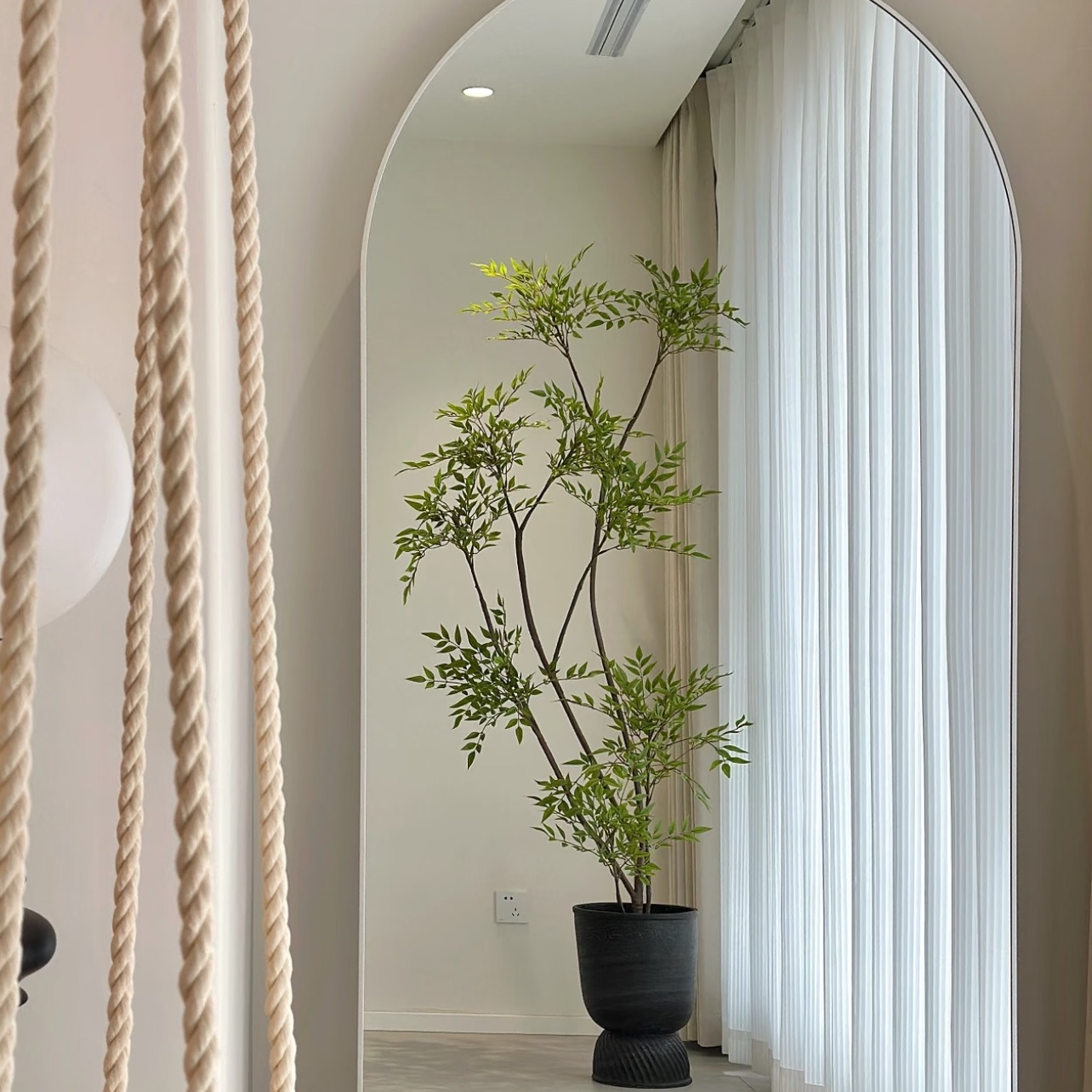 南天竹大型盆栽南天竺老桩绿植室内客厅植物禅意真树庭院造景日式