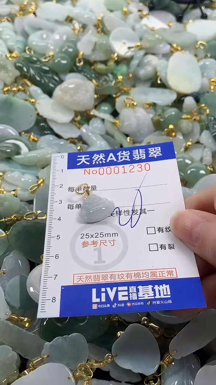 颈饰未镶嵌翡翠纯天然a货翡翠