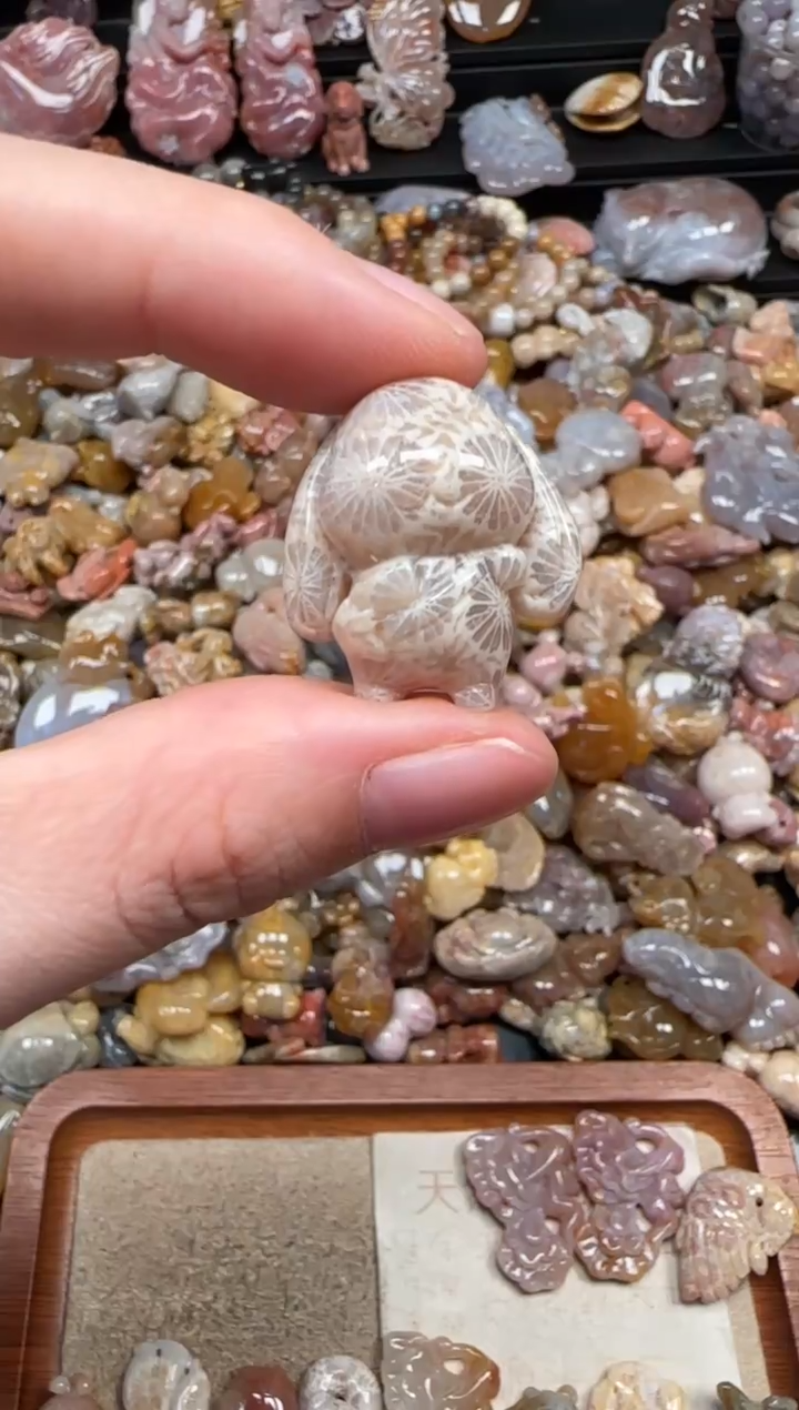 颈饰未镶嵌硅化珊瑚（珊瑚玉）651