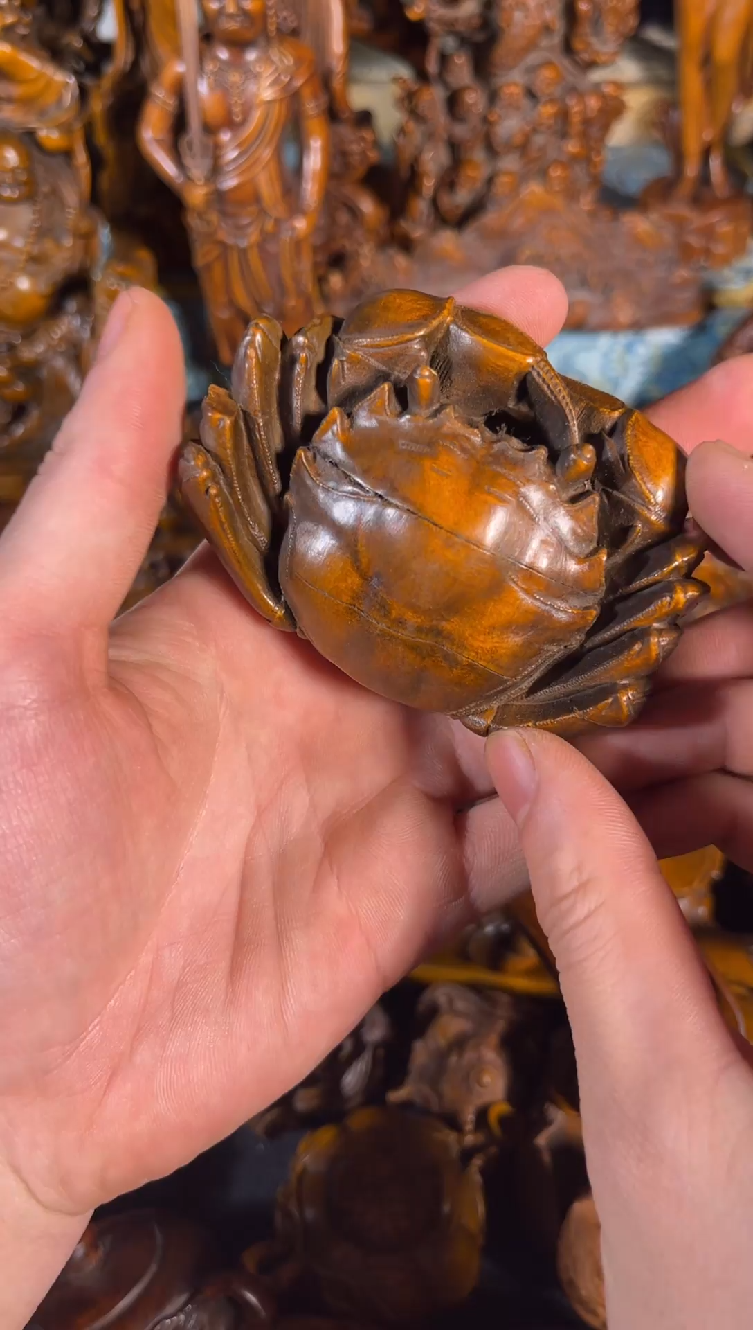 黄杨木111111111111