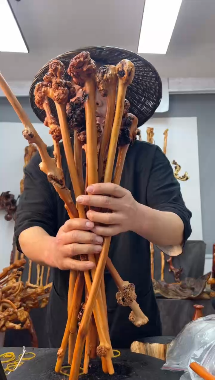 【闪购商品】黑果木其他黑果木908