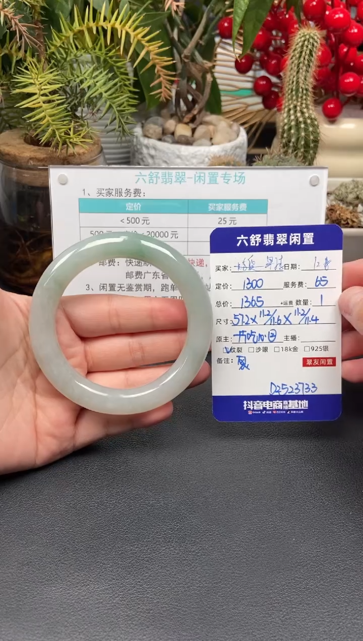 未镶嵌手镯翡翠果****友D2523733