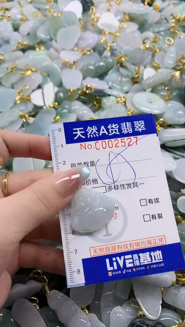 颈饰未镶嵌翡翠天然A货翡翠