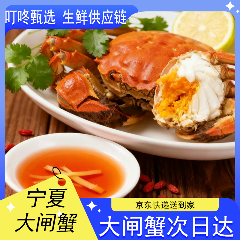 【活蟹】宁夏润沣淡水大闸蟹 全母蟹 2.3-2.6两/只 【6-10只】 京东包邮到家