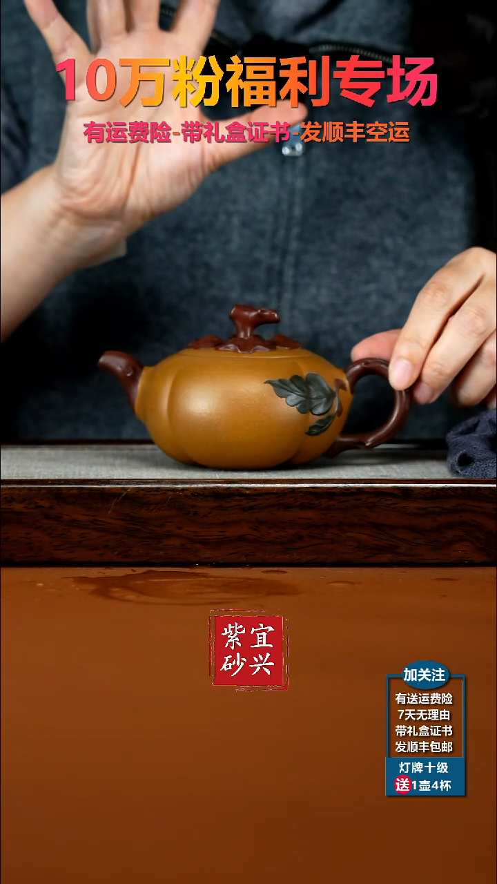 茶壶紫砂蒋静明老段泥仿生柿子240CC