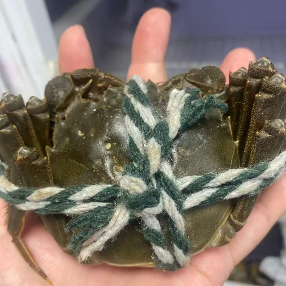 3.5两母江苏大闸蟹10只