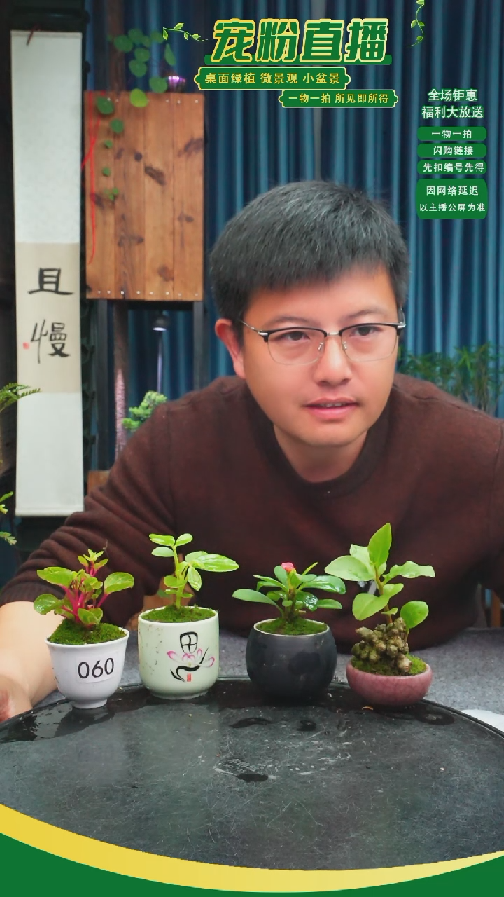 无花朵?***?苔藓微景观060号