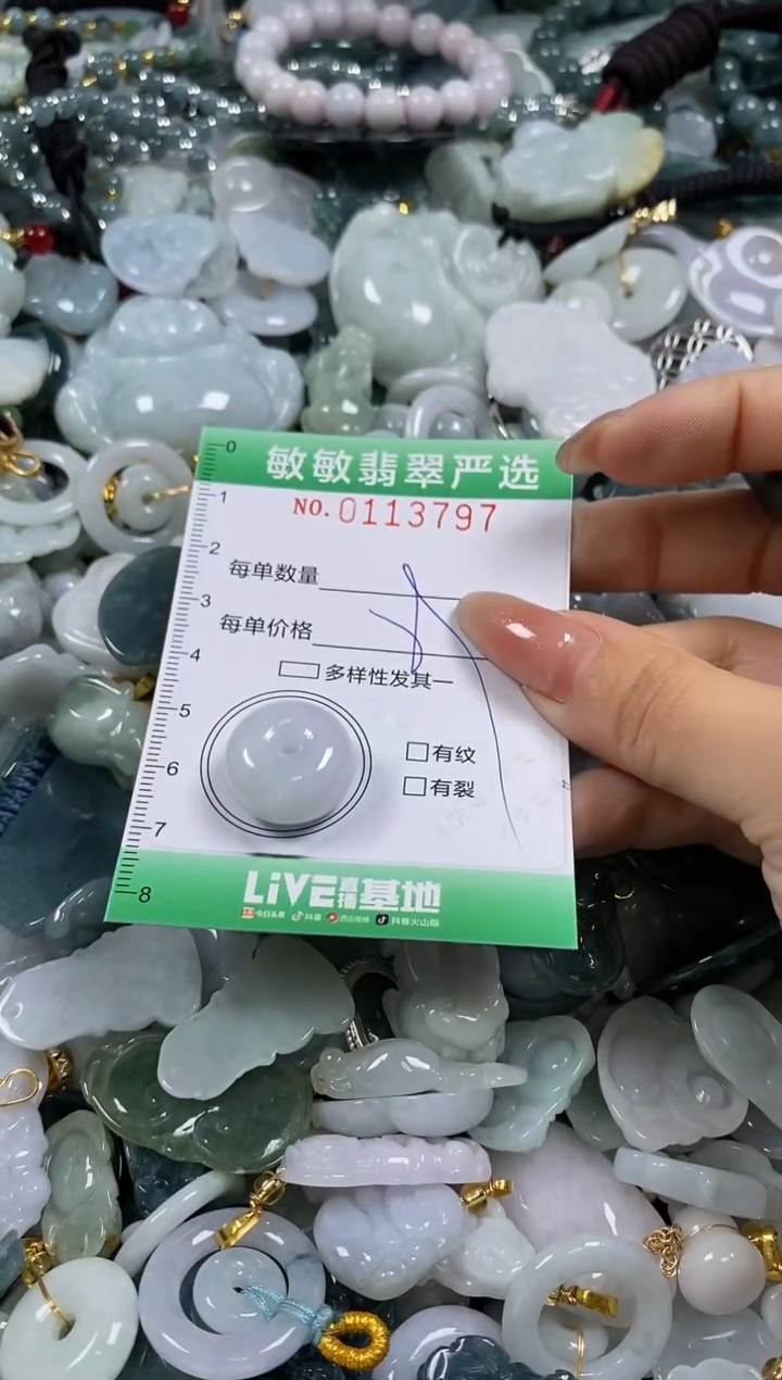 【闪购商品】翡翠颈饰未镶嵌闪购0113797