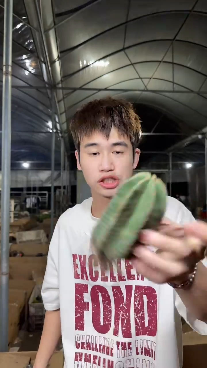 2颗 实生根 微刺虾