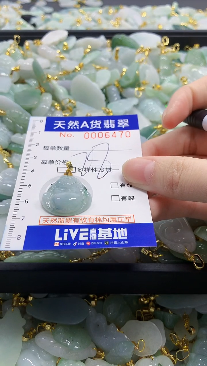 颈饰未镶嵌翡翠天然A货翡翠