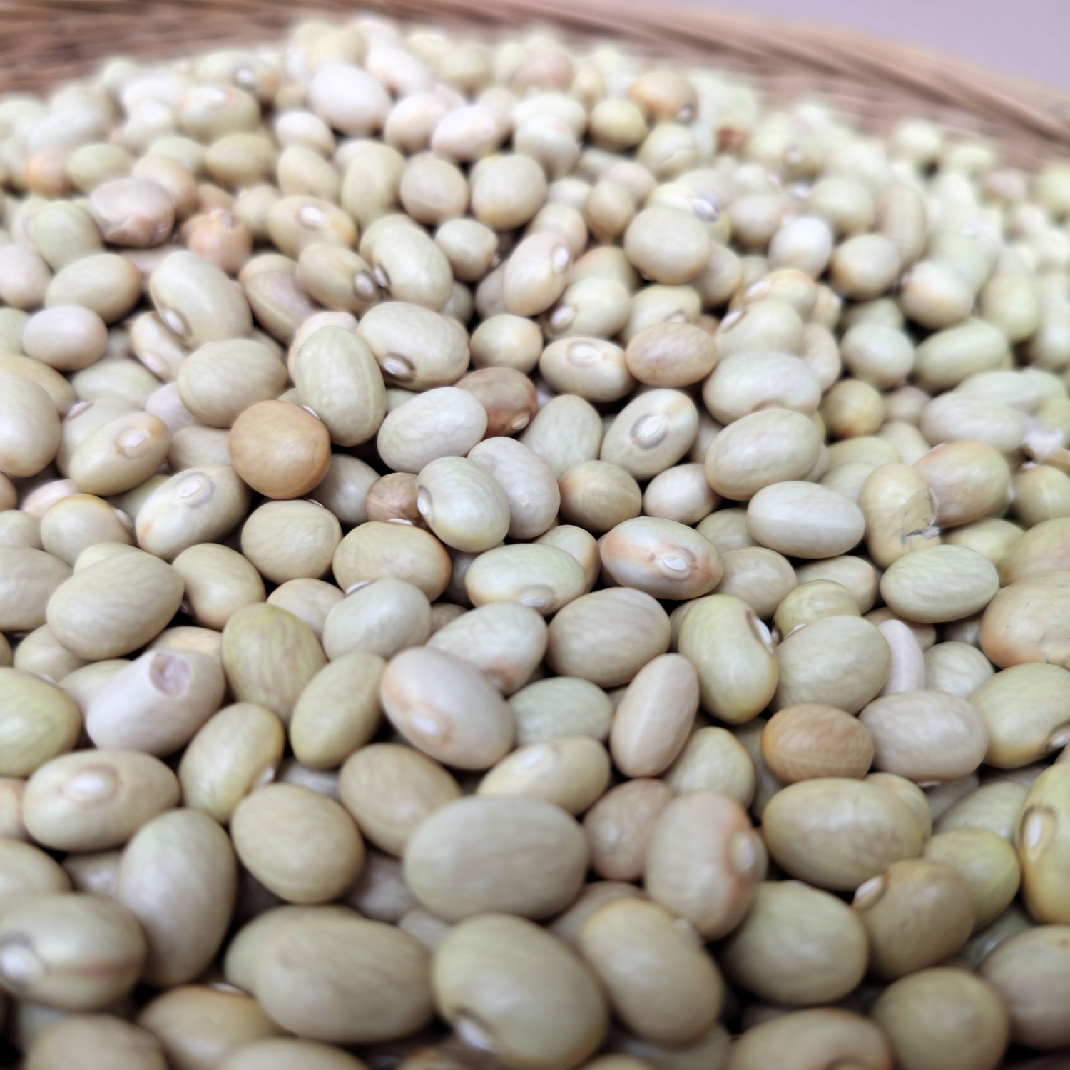 【庆娃代卖增收】小白芸豆