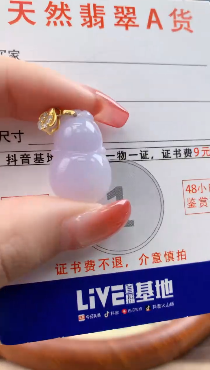 颈饰未镶嵌翡翠天然A货翡翠挂件