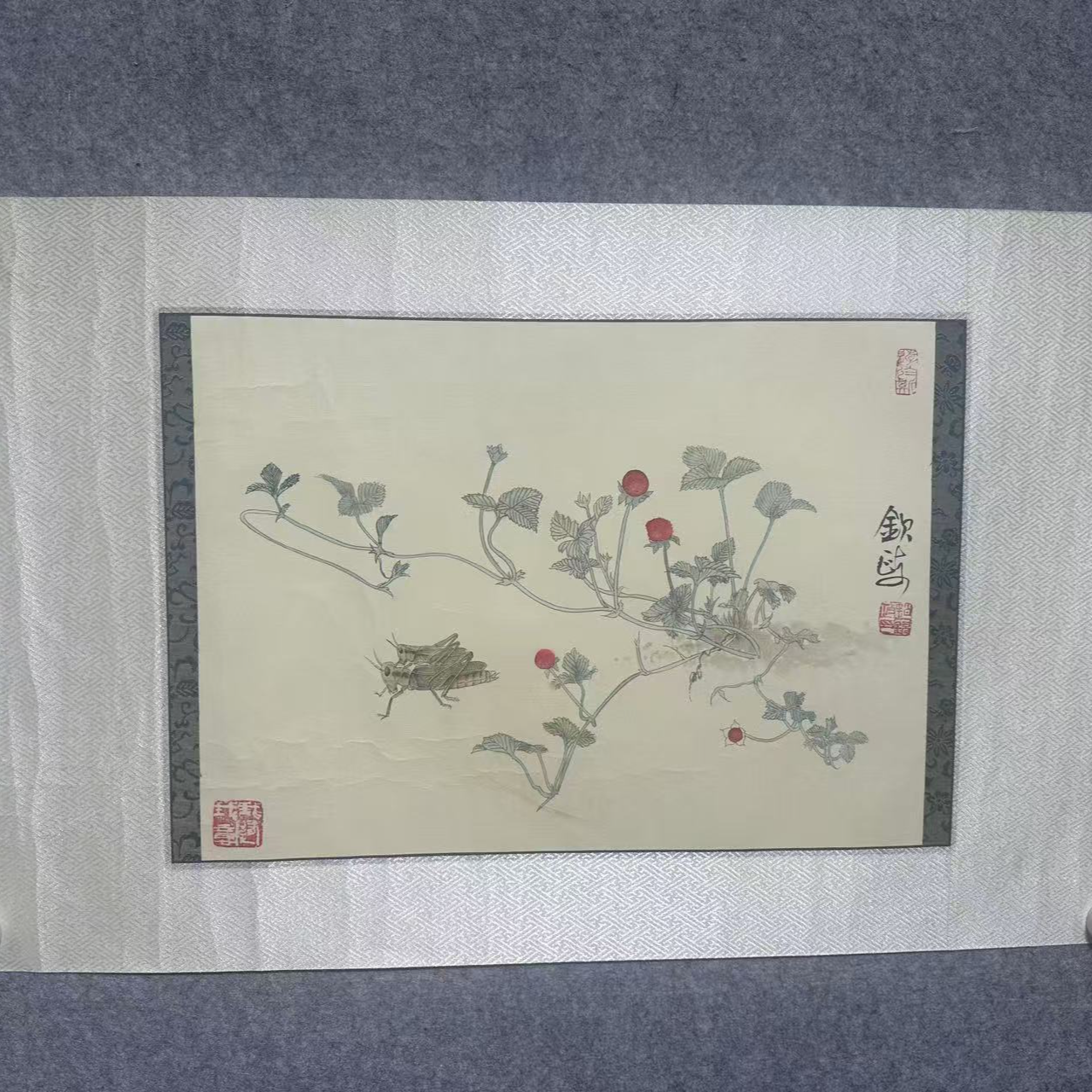 赵钦政-小蜻蜓12-手绘