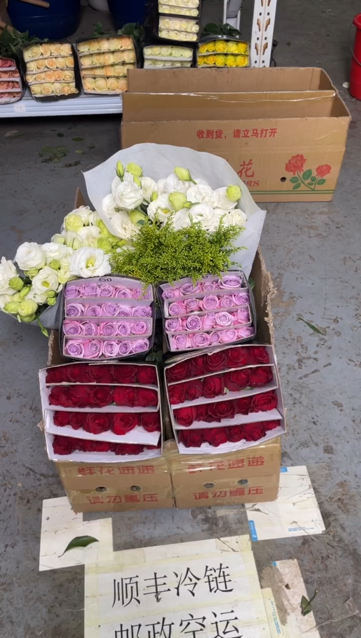 高原红20枝+海洋之歌20枝+白桔梗800克+黄莺