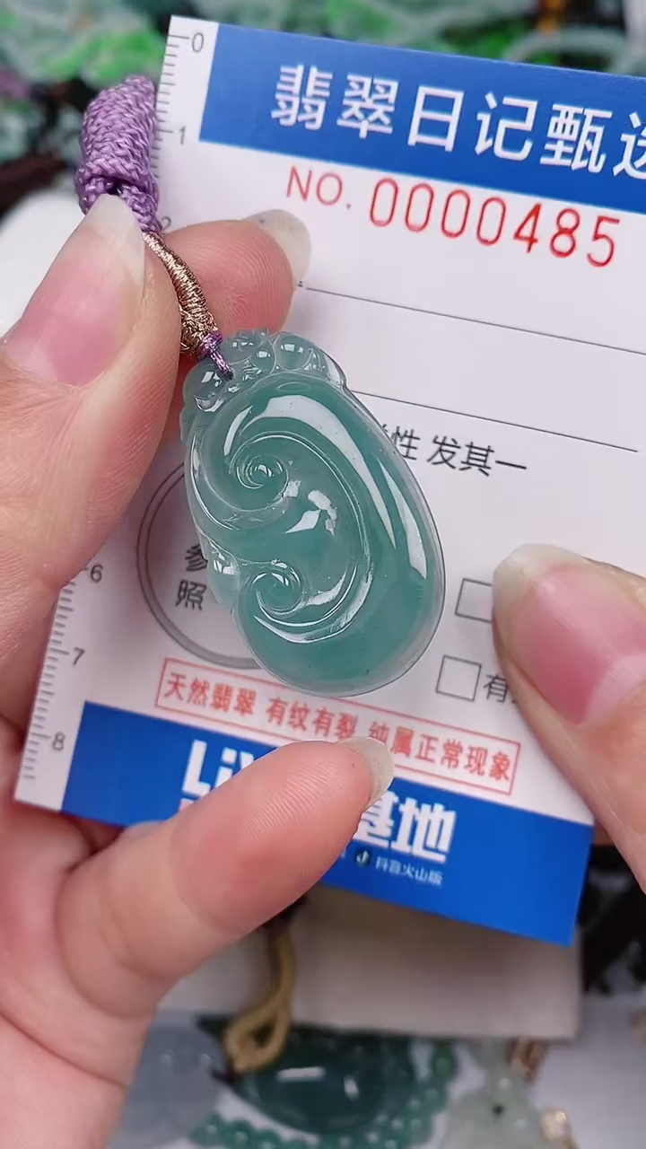 【闪购商品】翡翠颈饰未镶嵌00000485