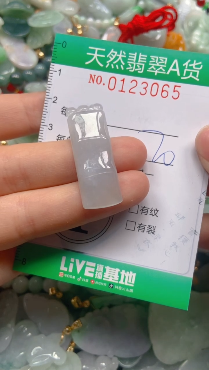 翡翠未镶嵌颈饰闪购0123065