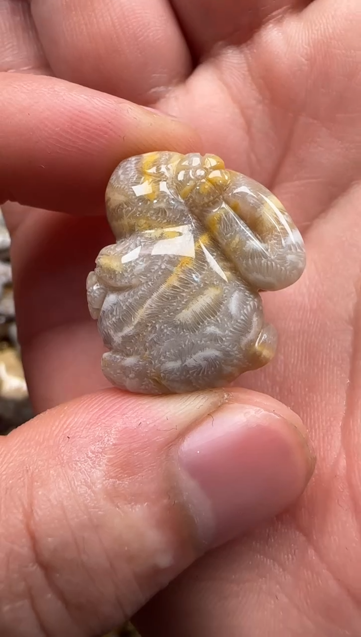 【闪购商品】硅化珊瑚（珊瑚玉）颈饰未镶嵌489