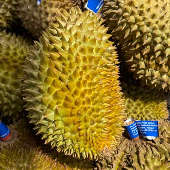 【新鲜榴莲来了】泰国树熟金枕头新鲜榴莲一整个（4-8斤、核小）金枕泰国
