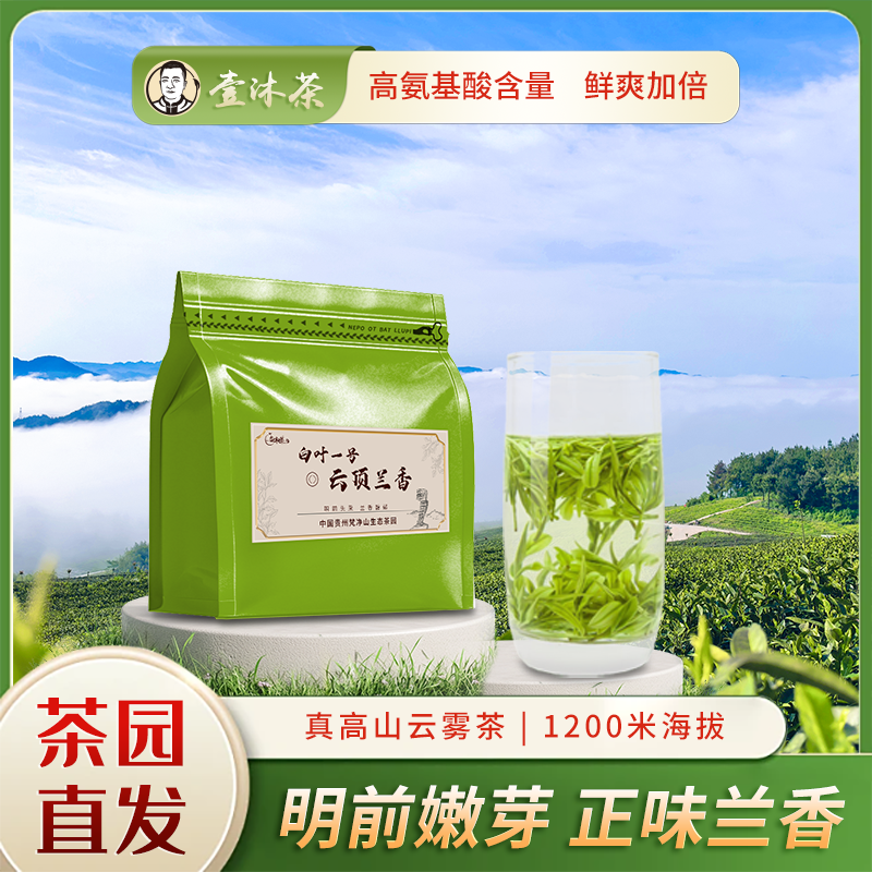 贵州梵净山明前白茶高山云雾干净茶绿茶甄选小嫩芽鲜爽兰花香