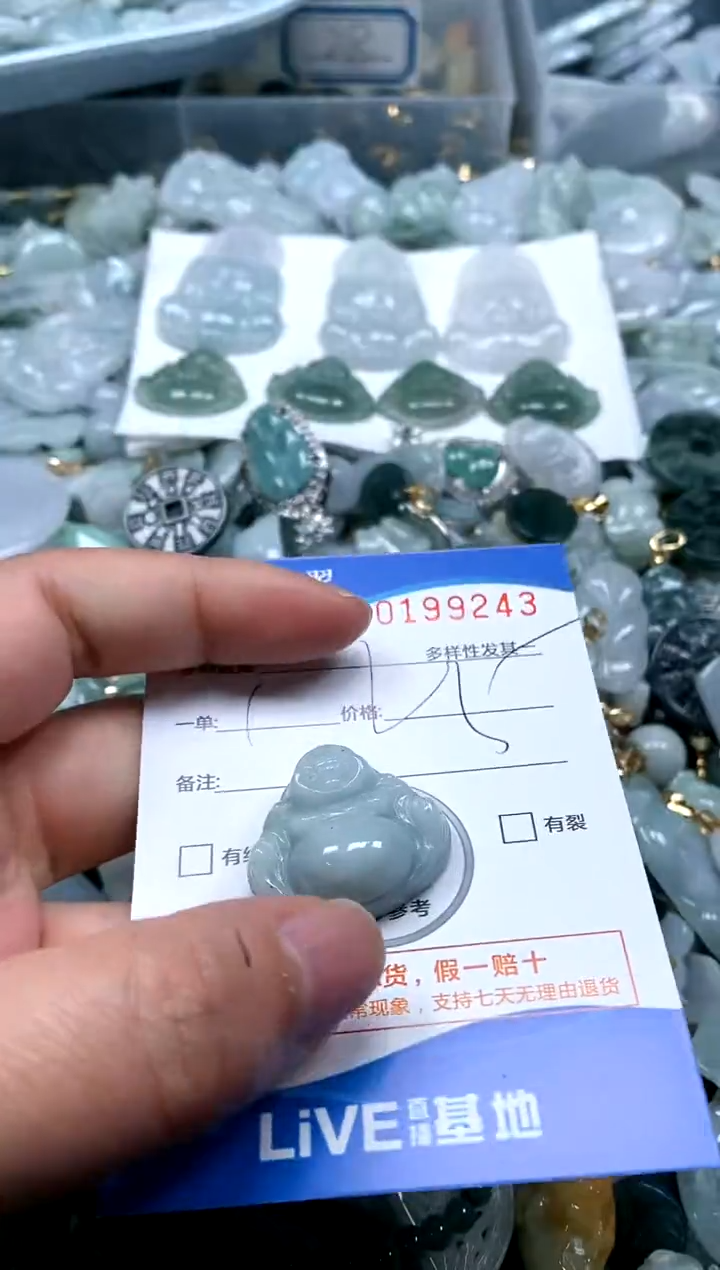 【闪购商品】翡翠颈饰未镶嵌闪购商品0199243